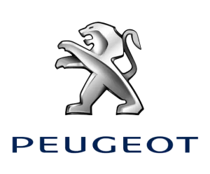 Peugeot électrique Beev