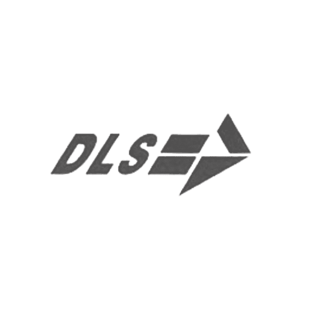 DLS logo