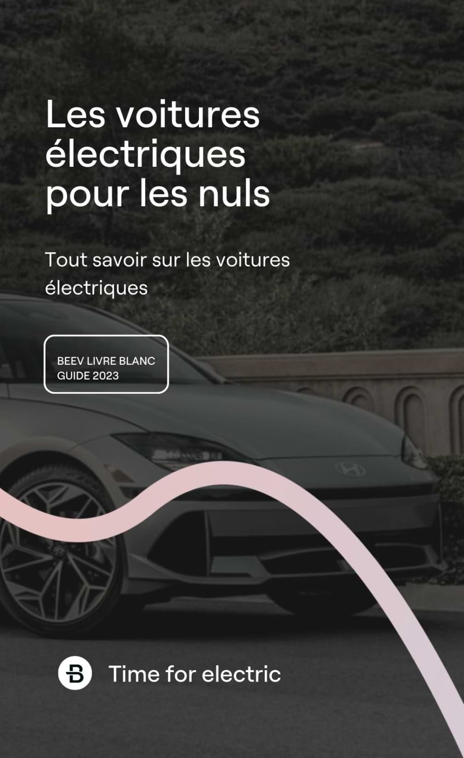 Couverture livre blanc VE pour les nuls