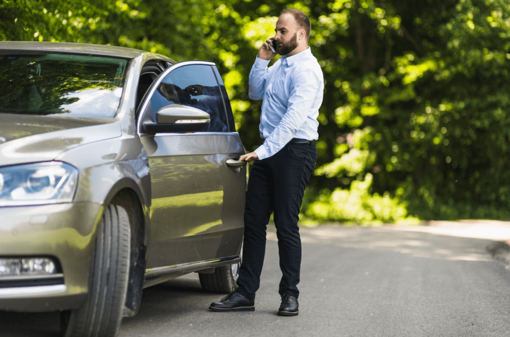 elektrische auto zakenreizen