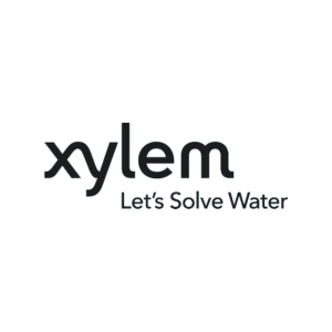 xylem
