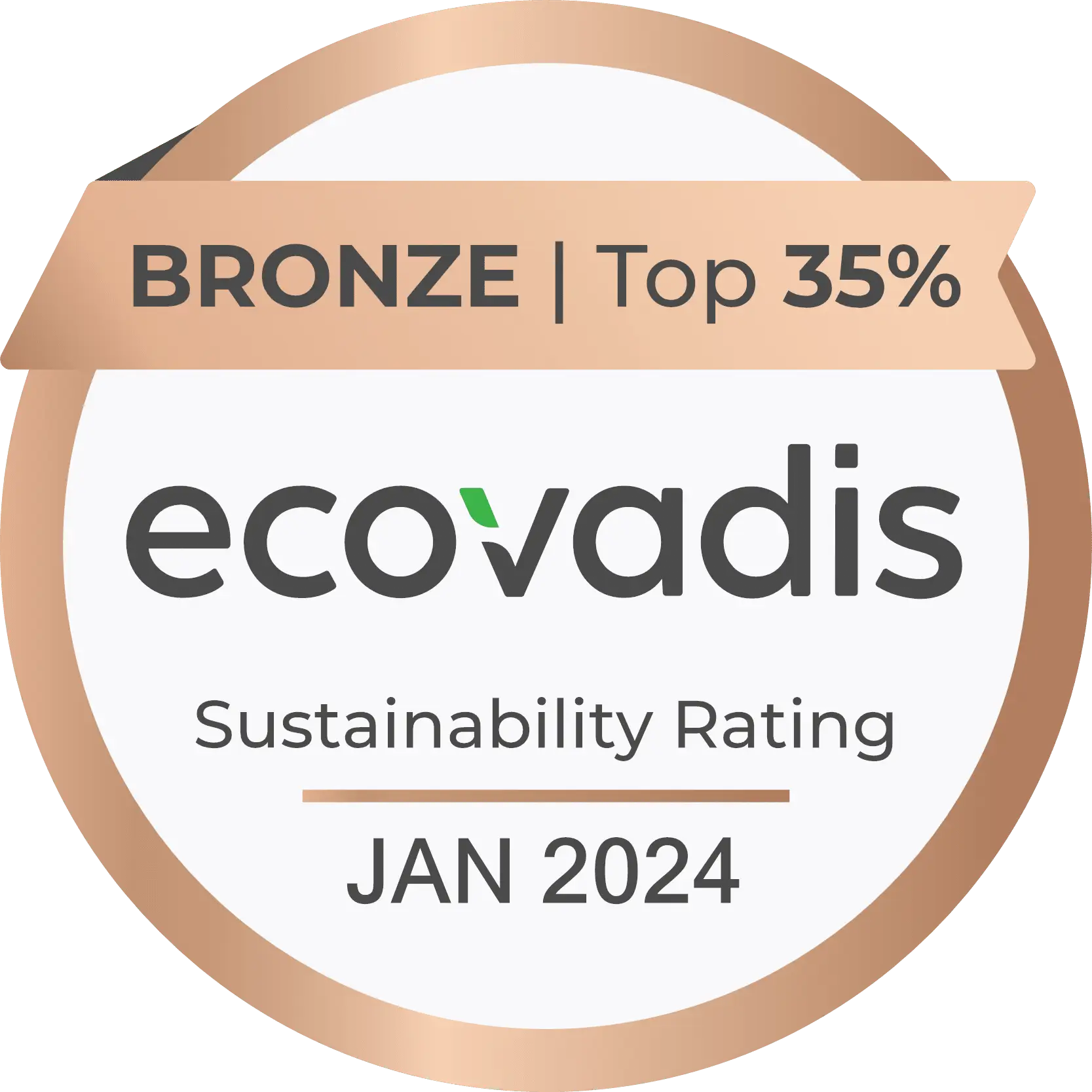 EcoVadis 2024