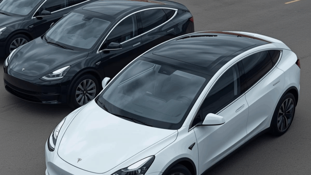 Tesla Y Model Standard