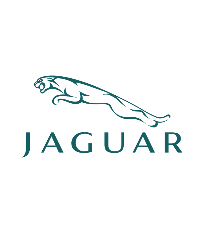 jaguar logo beev